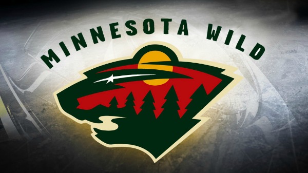 Day 105 of 365 MN Wild Pep Rally #365TC