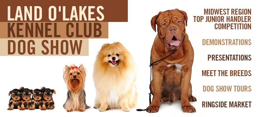 Land O'Lakes Kennel Club Dog Show
