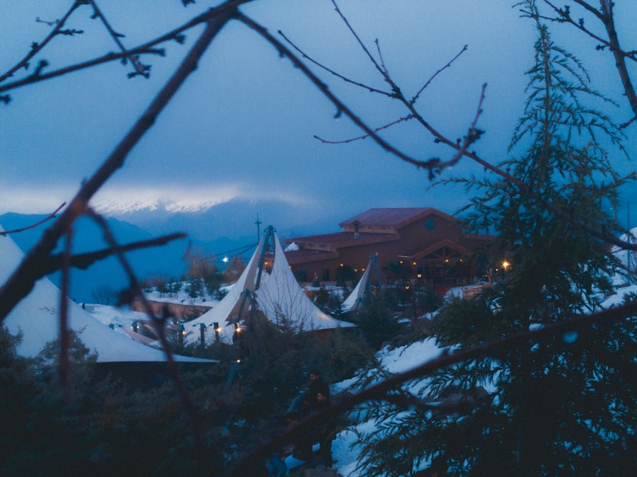 Winter Festivals