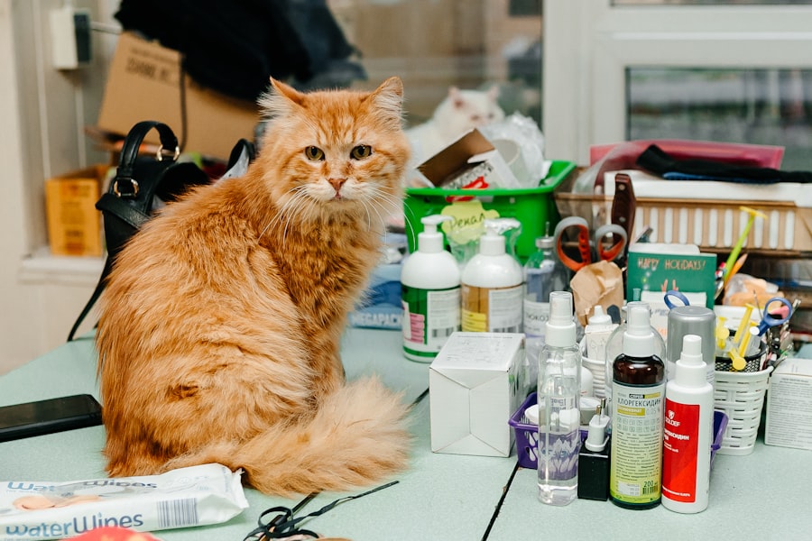 Photo Veterinarians