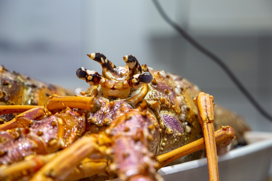 Photo Business Reputation