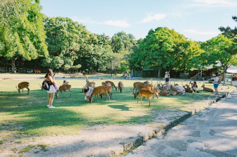 Photo Dog-Friendly Parks and Patios