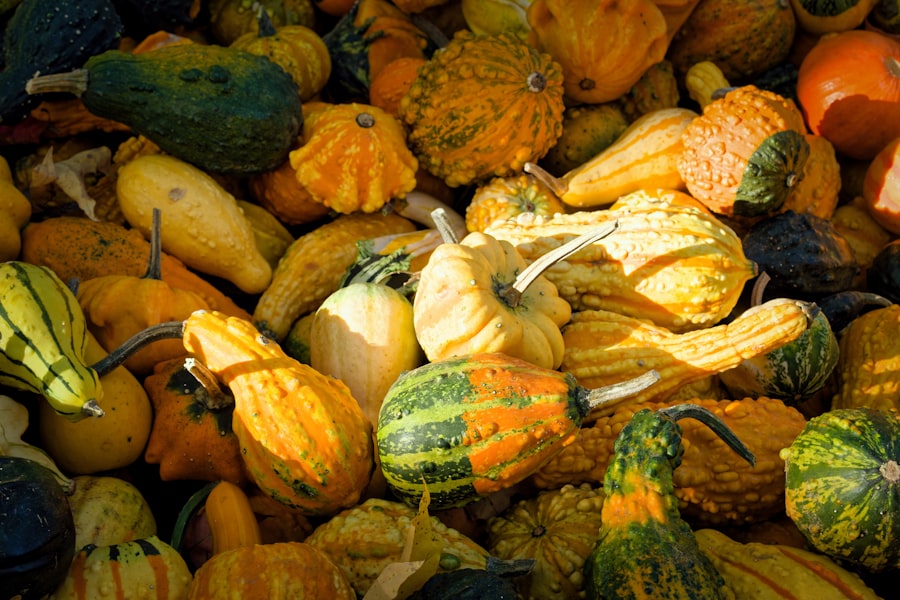 Photo Fall Festivals