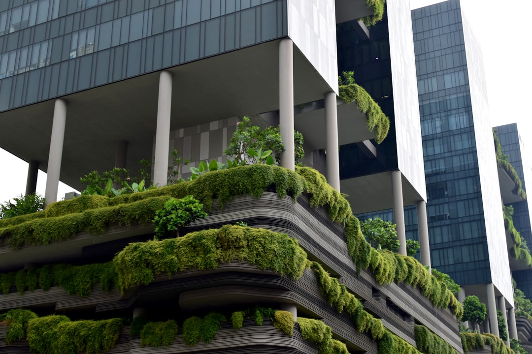 Photo Eco-Friendly Businesses