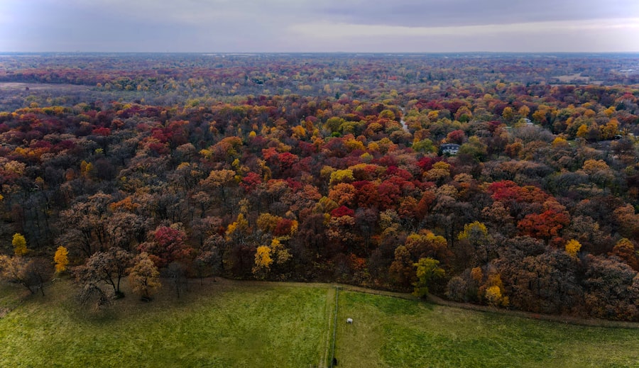 Minneapolis Fall Activities