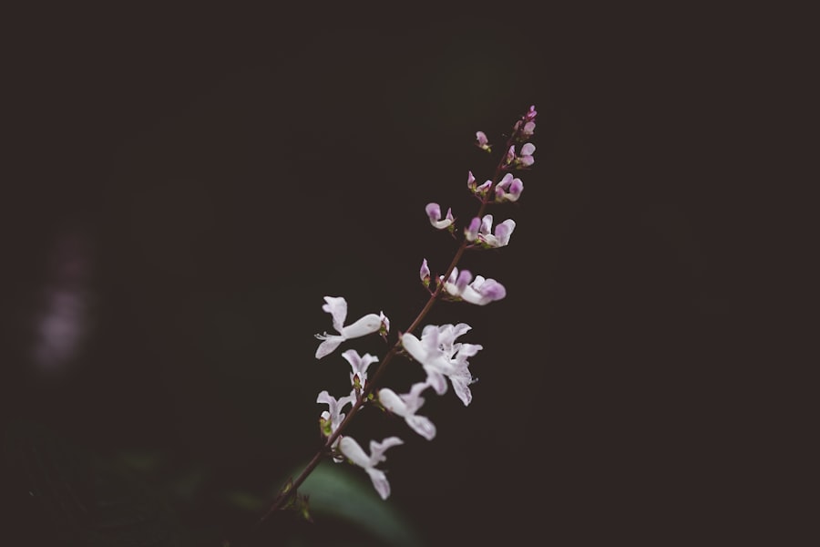 Instagram-Worthy Photo Spots