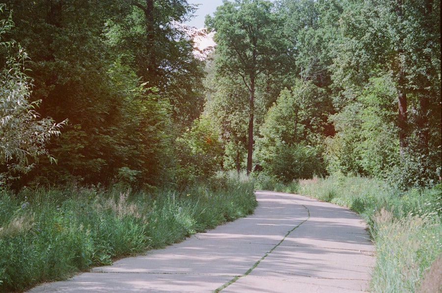 Twin Cities Bridle and Walking Paths