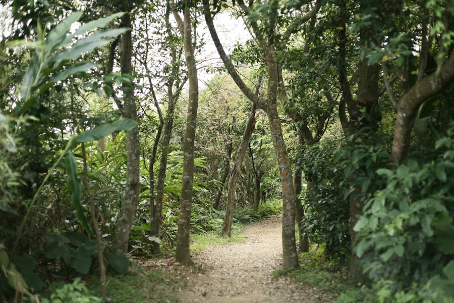 Nature Trails St Paul