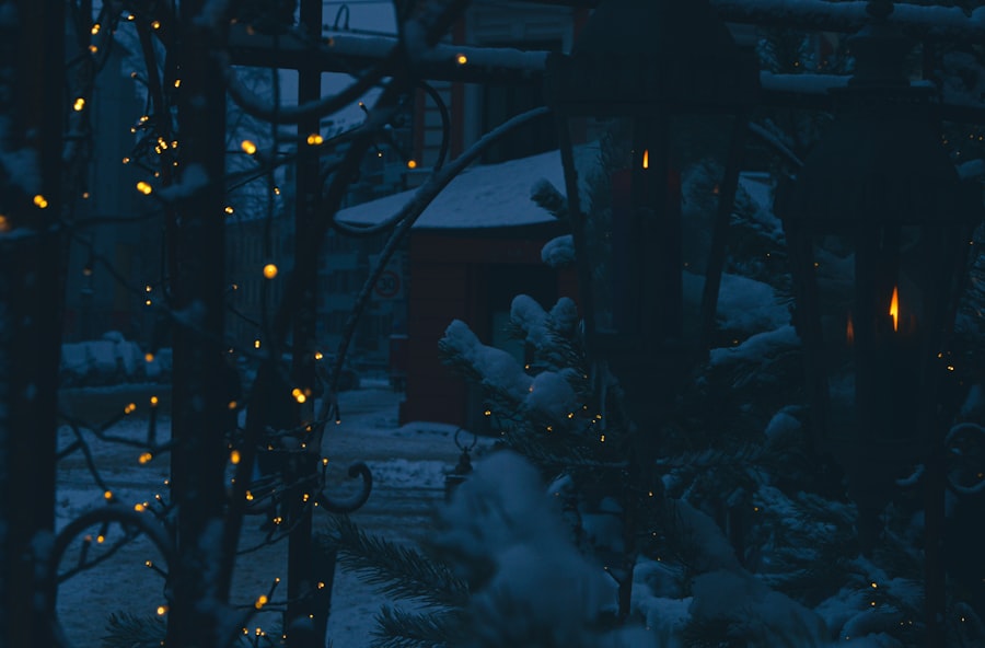 Winter Lights Displays