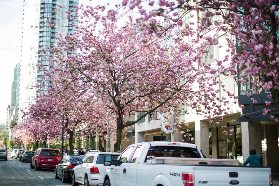 Spring Things To Do Twin Cities