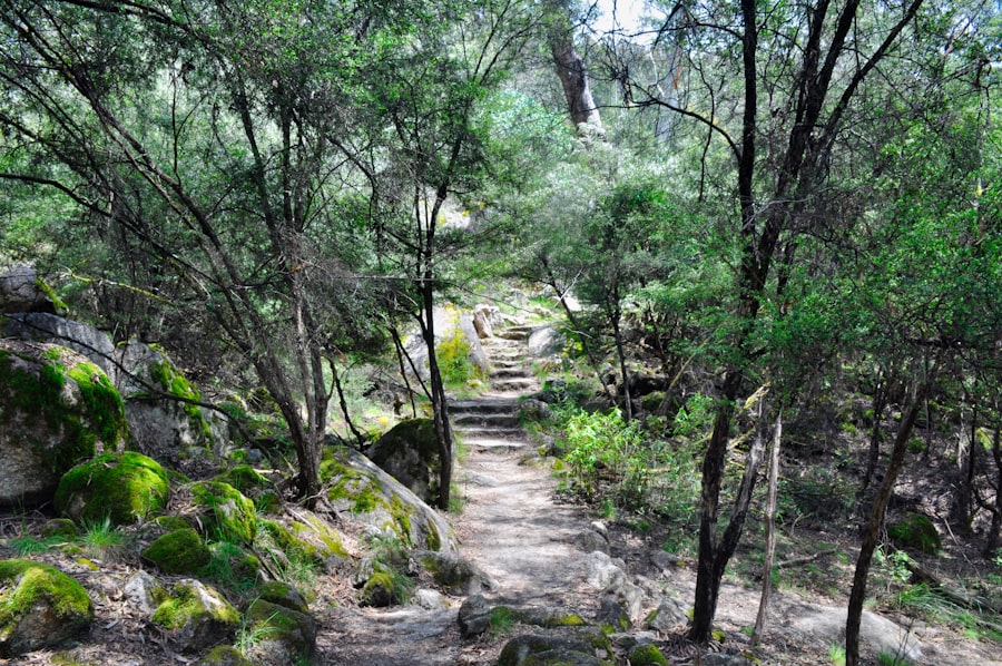 Twin Cities Hiking Trails