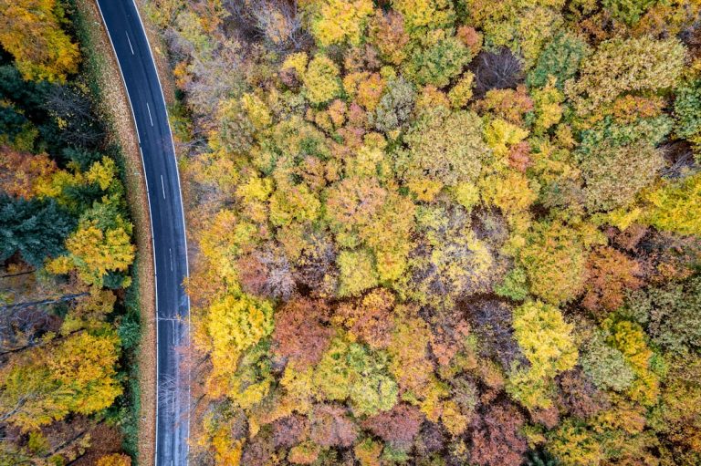 Photo Foliage Drives Twin Cities
