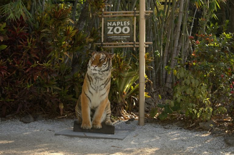 Photo Zoos and Animal Encounters