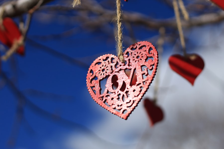 Photo Valentine’s Day Minneapolis