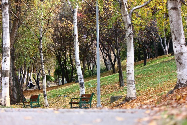 Photo Outdoorsy Things To Do Twin Cities