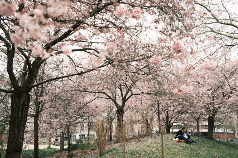 Photo Spring Things To Do Twin Cities