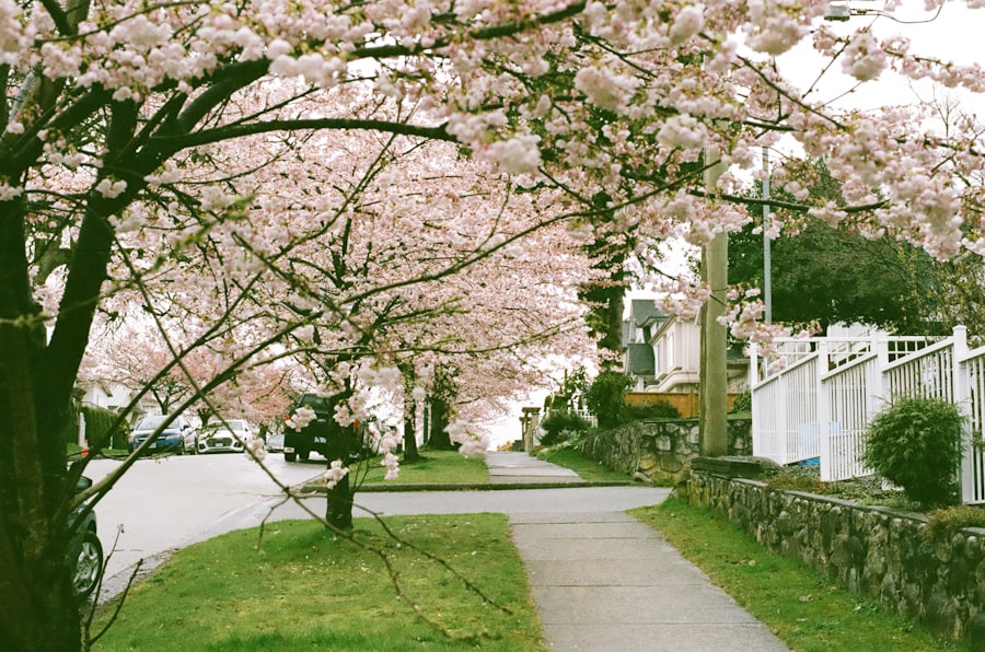 Photo Spring Things To Do Twin Cities