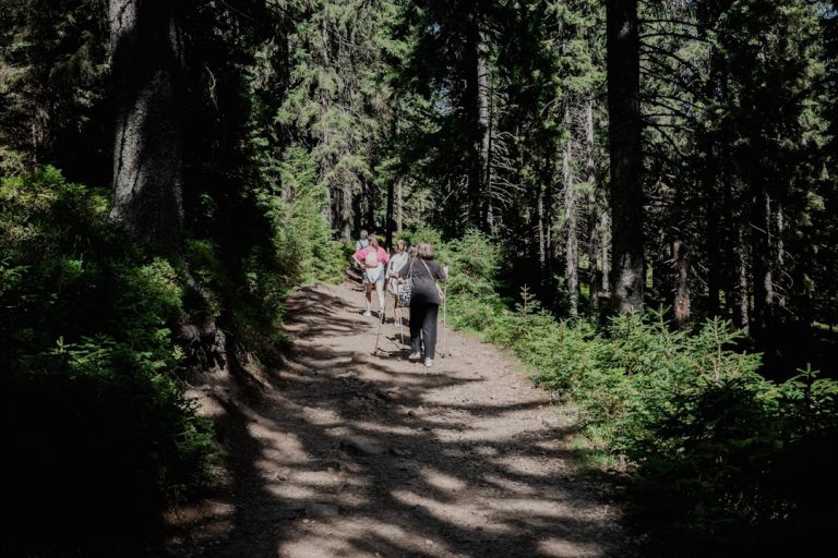 Photo Twin Cities Hiking Trails