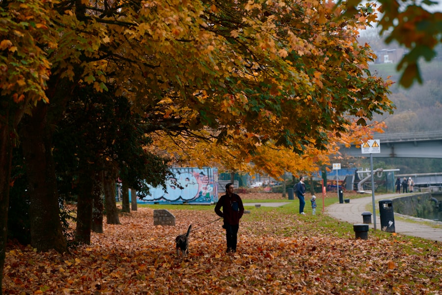 Photo Minneapolis Fall Activities