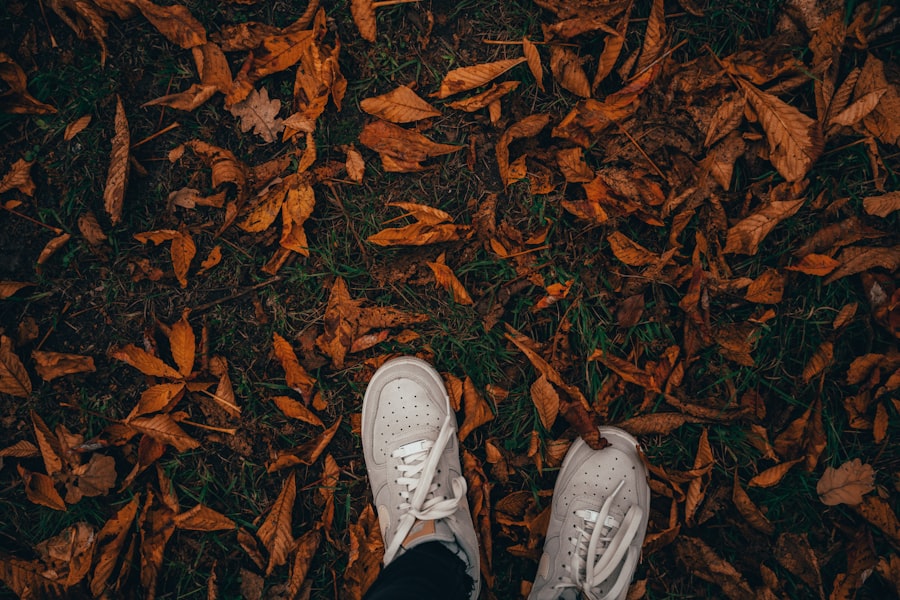 Photo Fall Things to Do